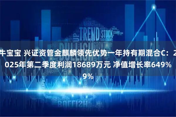 牛宝宝 兴证资管金麒麟领先优势一年持有期混合C:2025年第二季度利润18689万元 净值增长率649%