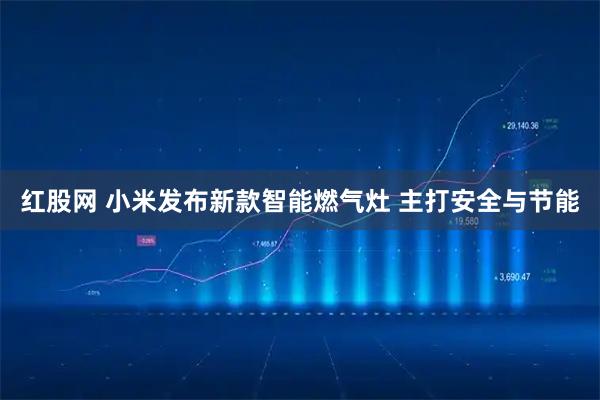 红股网 小米发布新款智能燃气灶 主打安全与节能